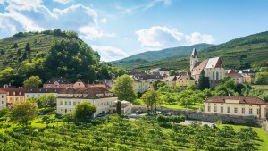 Spitz im Frühling © Donau Niederösterreich / www.extremfotos.com